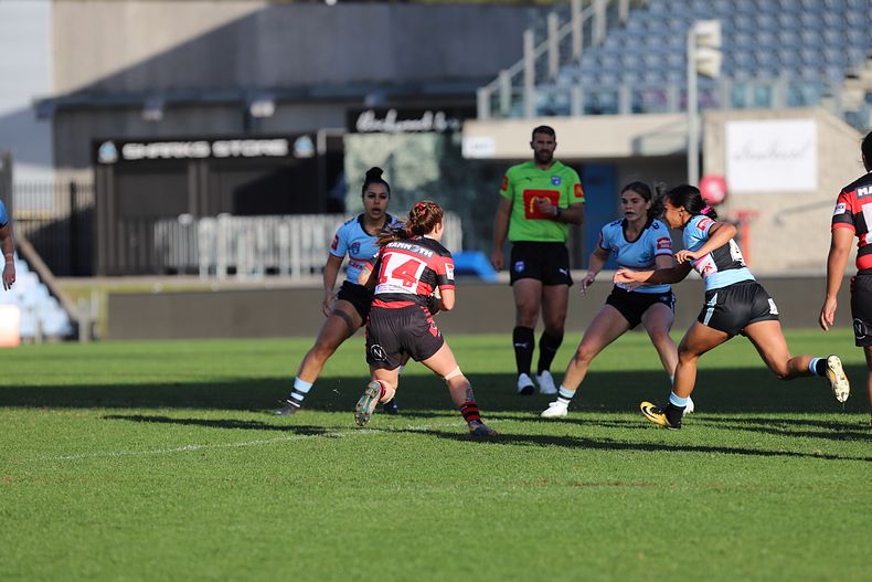 HNWP Rnd 8 SHARKS v BEARS