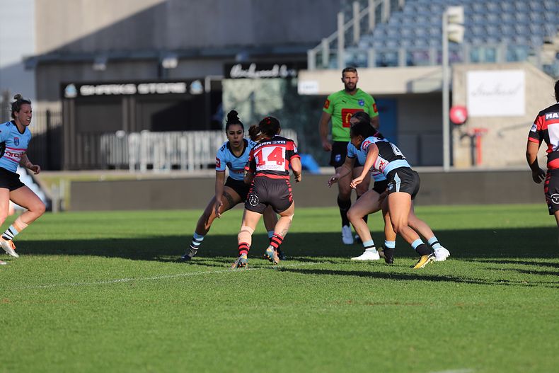 HNWP Rnd 8 SHARKS v BEARS