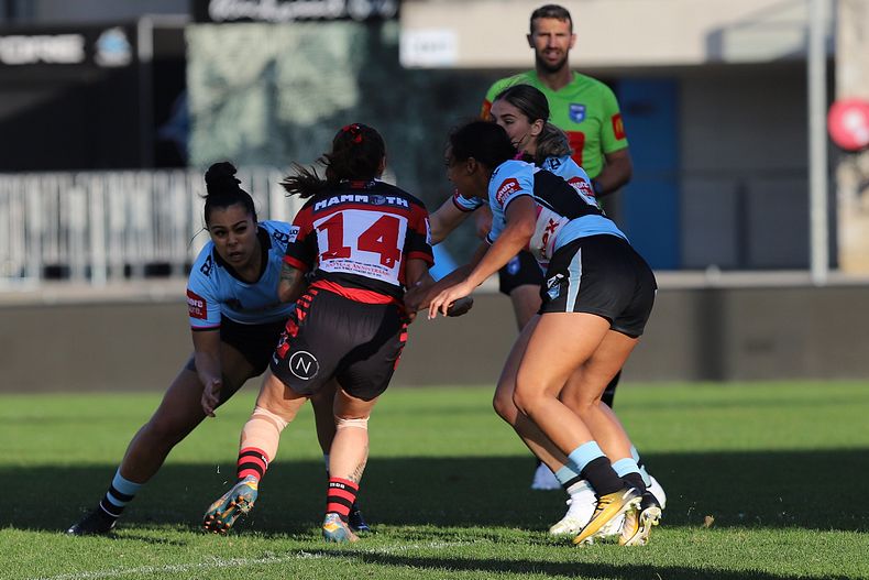 HNWP Rnd 8 SHARKS v BEARS