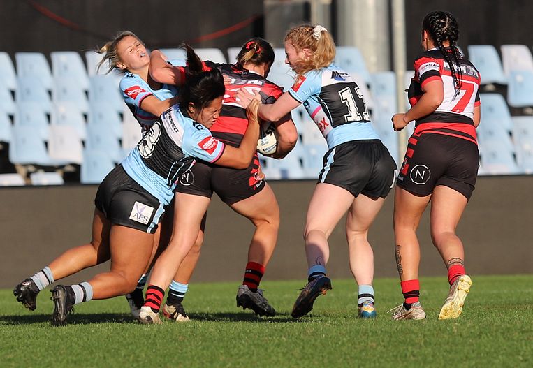 HNWP Rnd 8 SHARKS v BEARS
