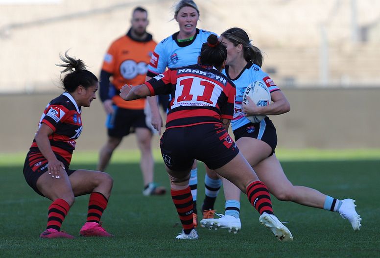 HNWP Rnd 8 SHARKS v BEARS