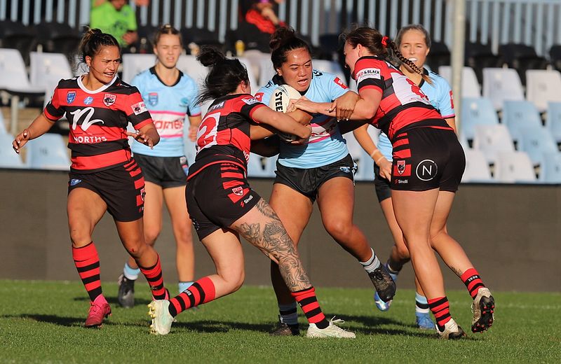 HNWP Rnd 8 SHARKS v BEARS