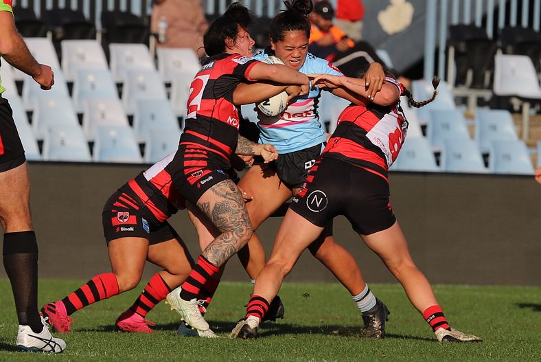 HNWP Rnd 8 SHARKS v BEARS