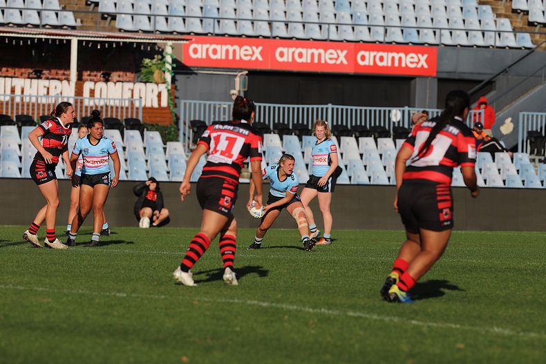 HNWP Rnd 8 SHARKS v BEARS