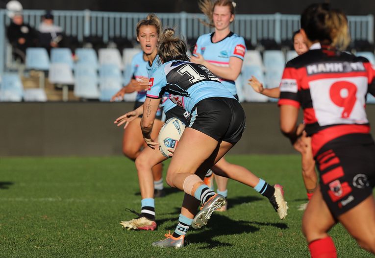 HNWP Rnd 8 SHARKS v BEARS