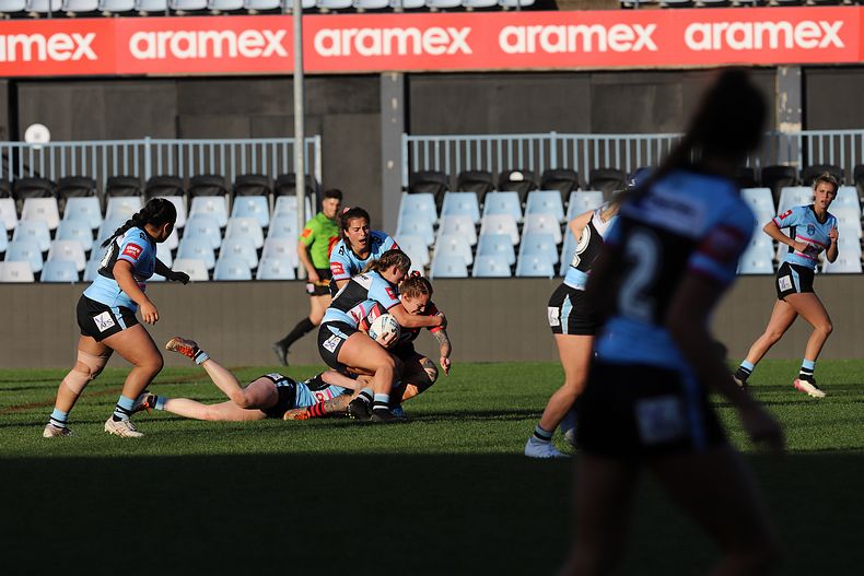 HNWP Rnd 8 SHARKS v BEARS