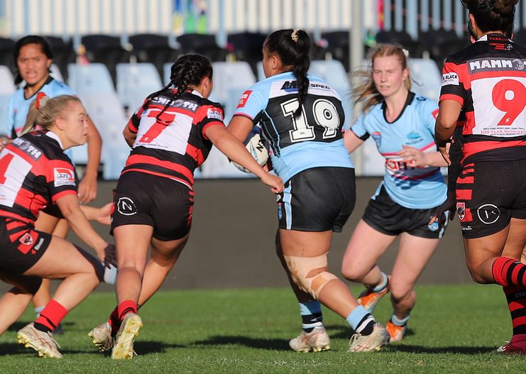 HNWP Rnd 8 SHARKS v BEARS