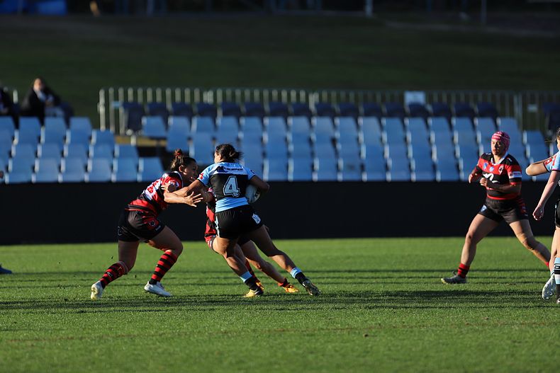 HNWP Rnd 8 SHARKS v BEARS