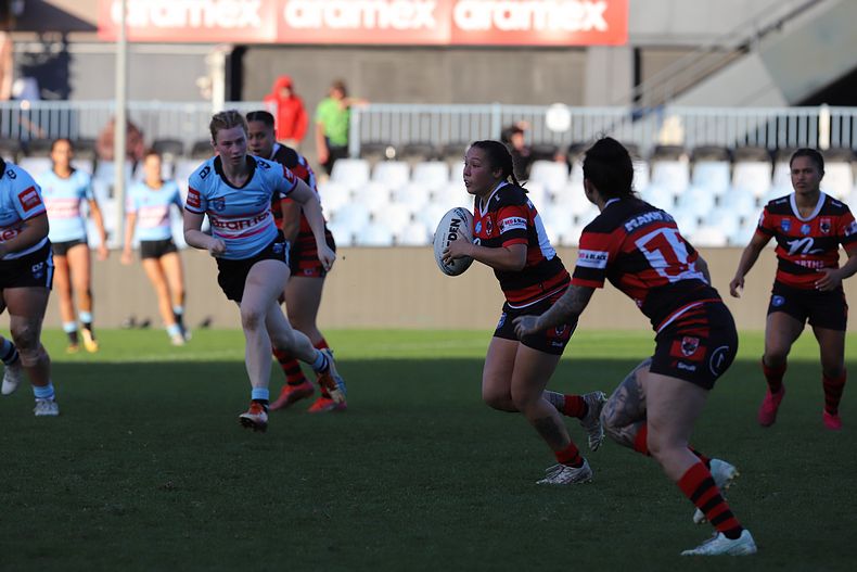 HNWP Rnd 8 SHARKS v BEARS