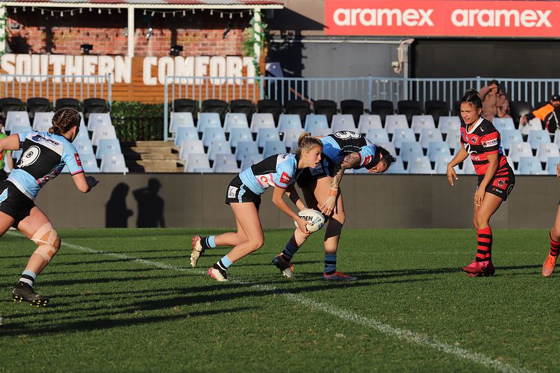 HNWP Rnd 8 SHARKS v BEARS