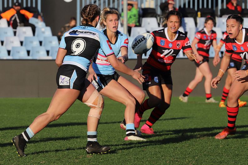 HNWP Rnd 8 SHARKS v BEARS