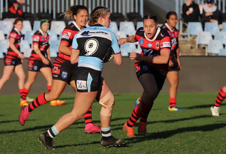 HNWP Rnd 8 SHARKS v BEARS