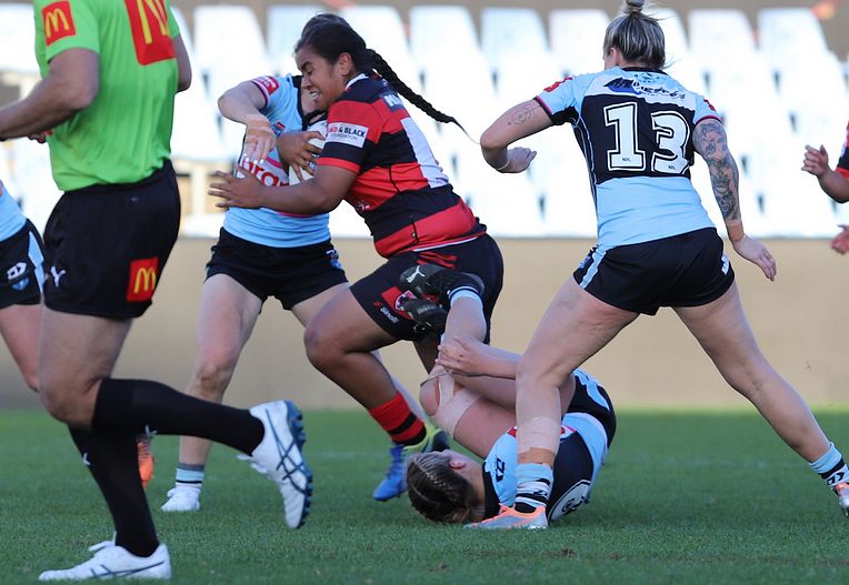 HNWP Rnd 8 SHARKS v BEARS