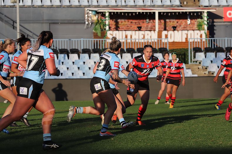 HNWP Rnd 8 SHARKS v BEARS