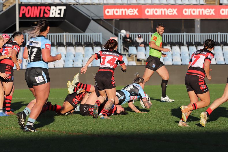 HNWP Rnd 8 SHARKS v BEARS