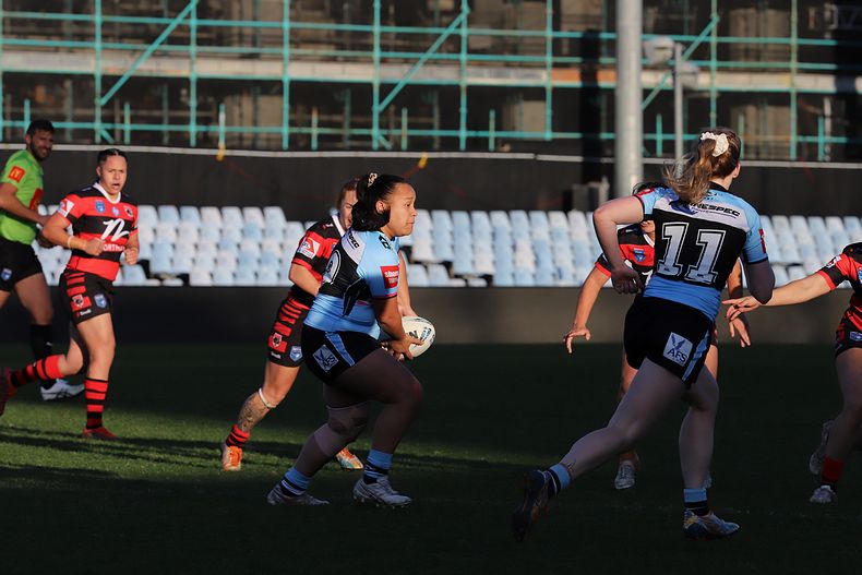 HNWP Rnd 8 SHARKS v BEARS