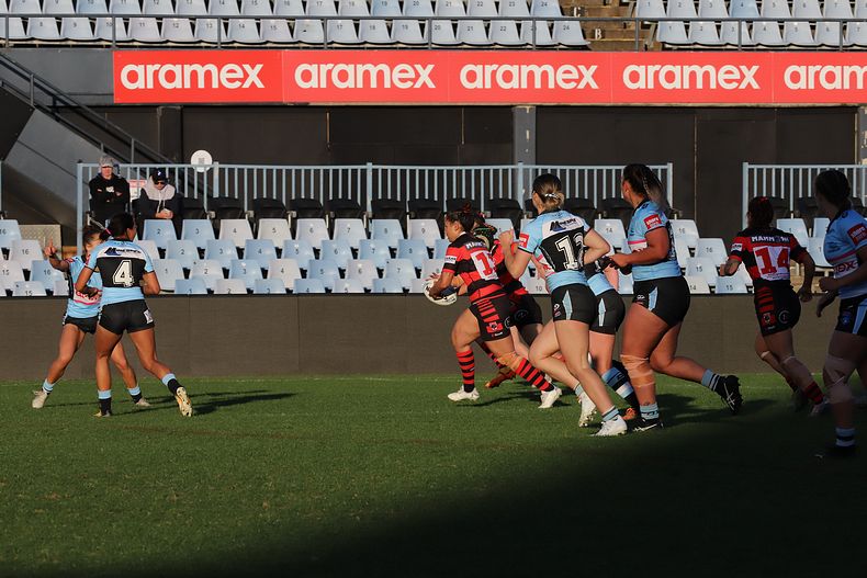 HNWP Rnd 8 SHARKS v BEARS