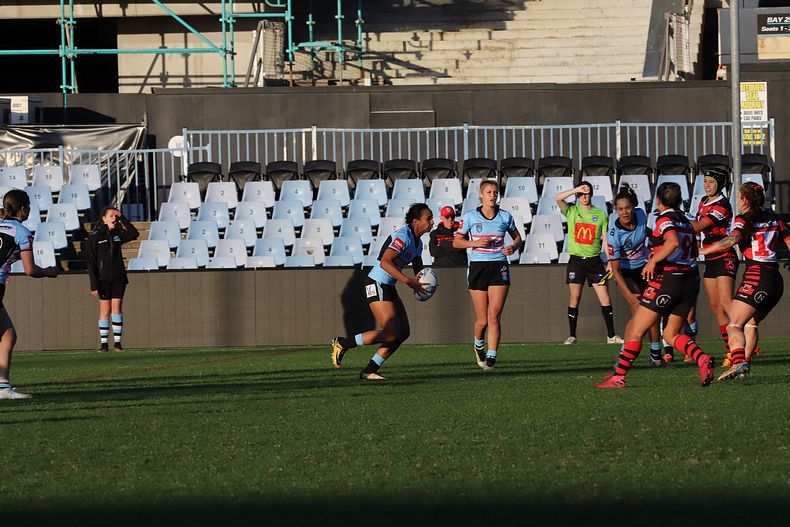 HNWP Rnd 8 SHARKS v BEARS