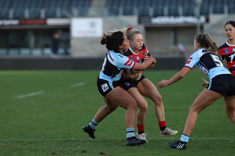 HNWP Rnd 8 SHARKS v BEARS