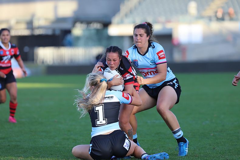 HNWP Rnd 8 SHARKS v BEARS