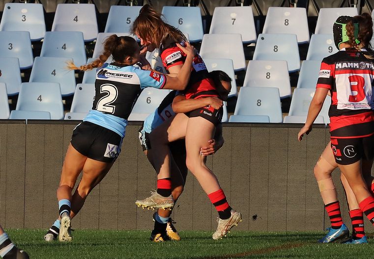 HNWP Rnd 8 SHARKS v BEARS