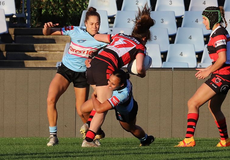 HNWP Rnd 8 SHARKS v BEARS