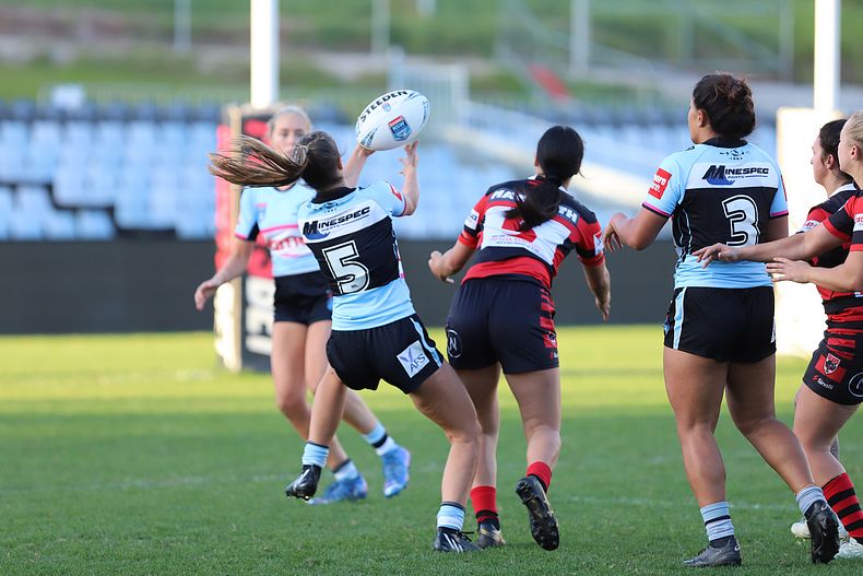 HNWP Rnd 8 SHARKS v BEARS
