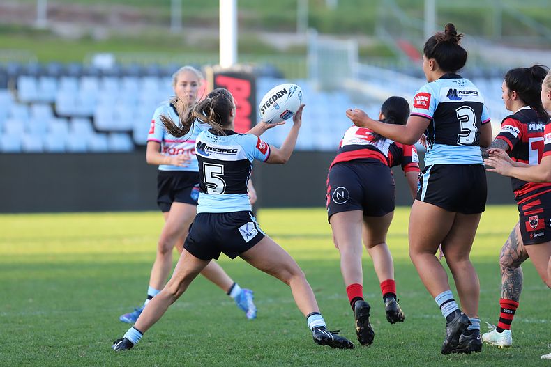 HNWP Rnd 8 SHARKS v BEARS