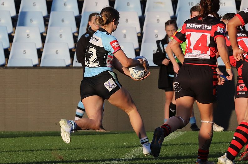 HNWP Rnd 8 SHARKS v BEARS