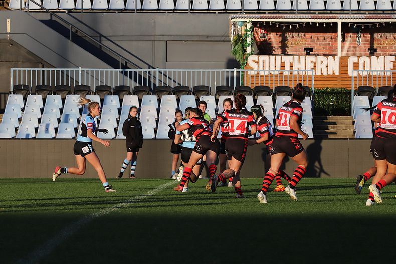 HNWP Rnd 8 SHARKS v BEARS
