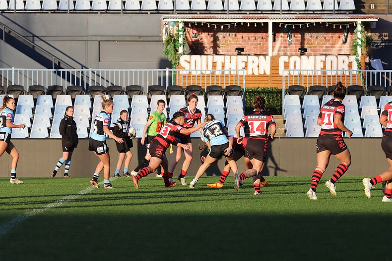 HNWP Rnd 8 SHARKS v BEARS