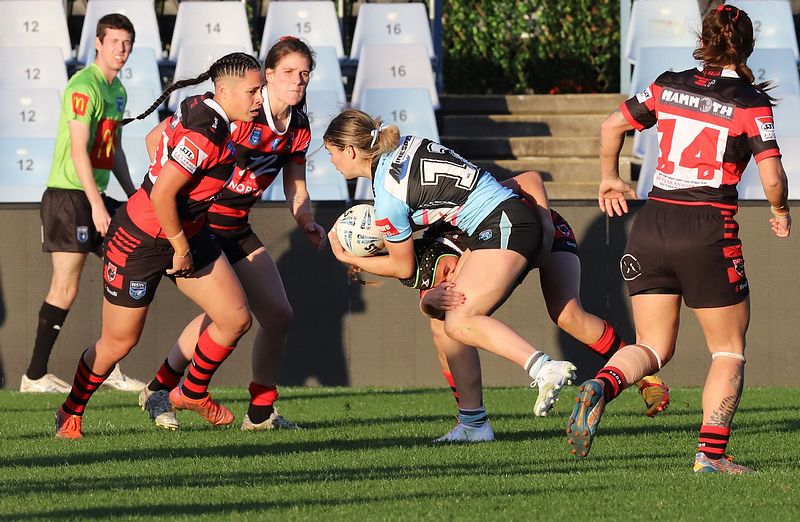 HNWP Rnd 8 SHARKS v BEARS