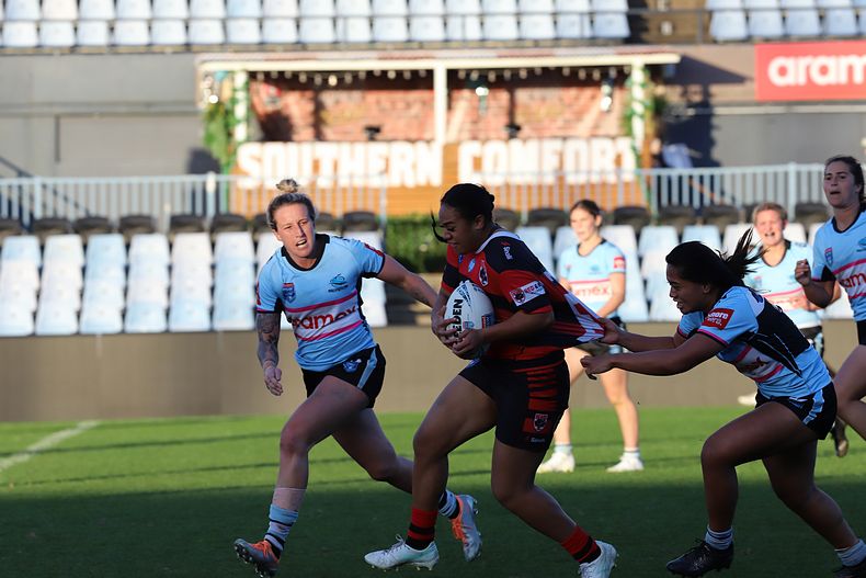 HNWP Rnd 8 SHARKS v BEARS