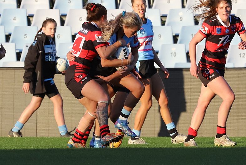 HNWP Rnd 8 SHARKS v BEARS