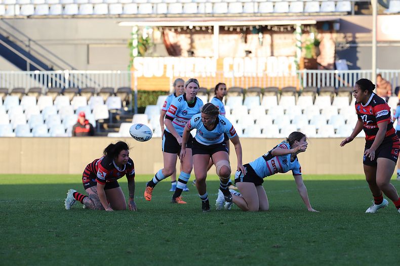 HNWP Rnd 8 SHARKS v BEARS