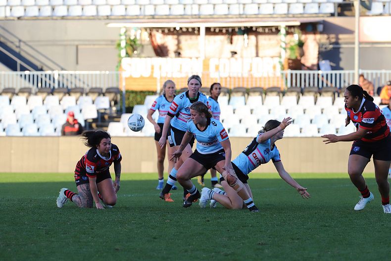 HNWP Rnd 8 SHARKS v BEARS