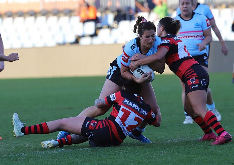 HNWP Rnd 8 SHARKS v BEARS