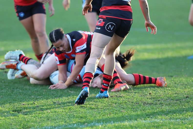 HNWP Rnd 8 SHARKS v BEARS