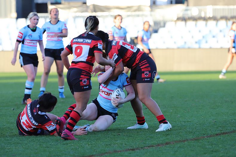 HNWP Rnd 8 SHARKS v BEARS