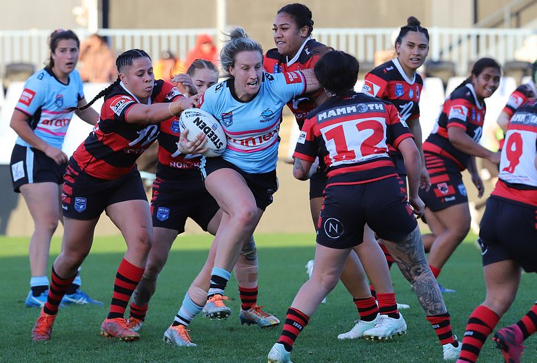 HNWP Rnd 8 SHARKS v BEARS