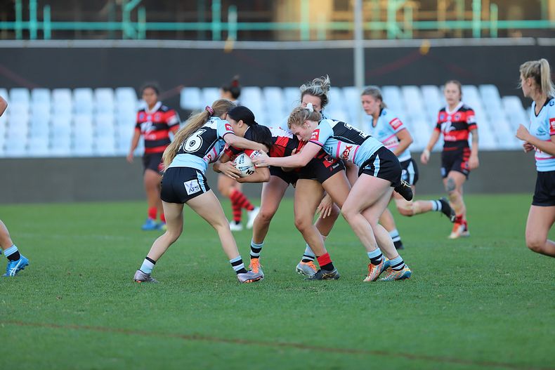 HNWP Rnd 8 SHARKS v BEARS