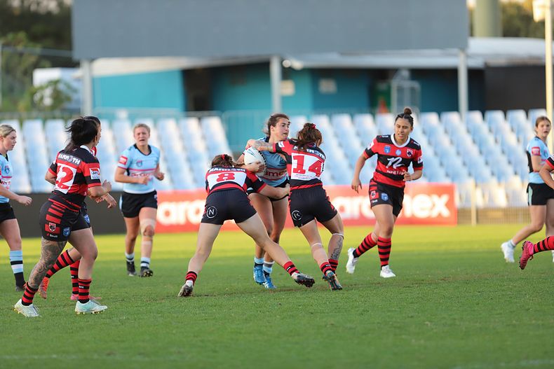 HNWP Rnd 8 SHARKS v BEARS