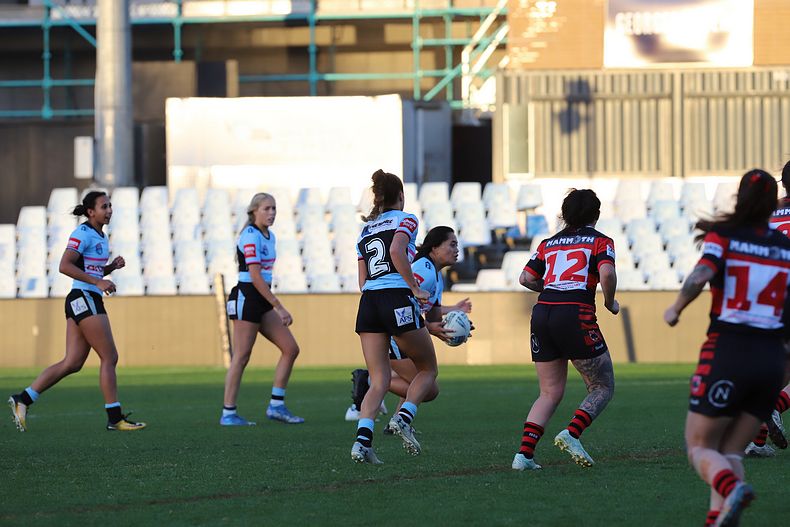HNWP Rnd 8 SHARKS v BEARS