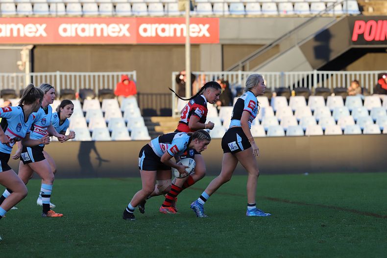 HNWP Rnd 8 SHARKS v BEARS