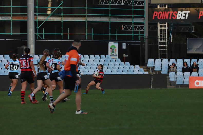 HNWP Rnd 8 SHARKS v BEARS