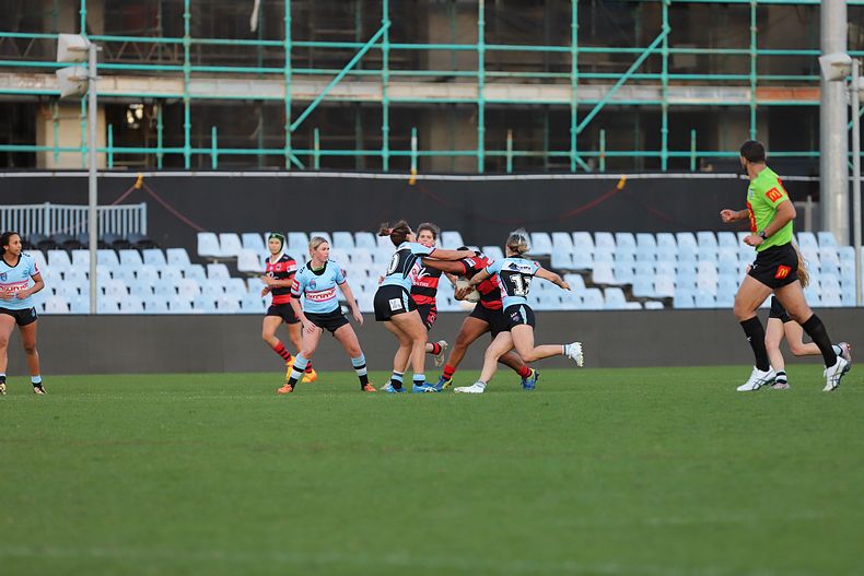HNWP Rnd 8 SHARKS v BEARS