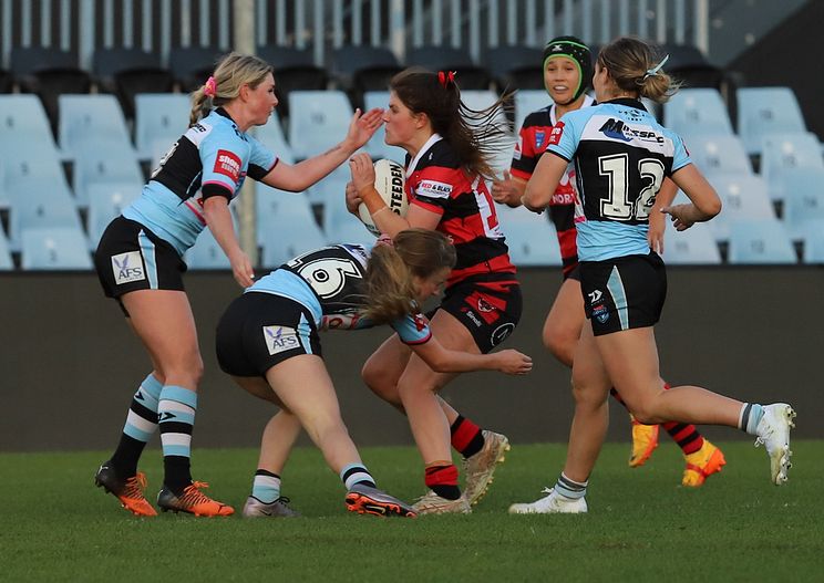 HNWP Rnd 8 SHARKS v BEARS