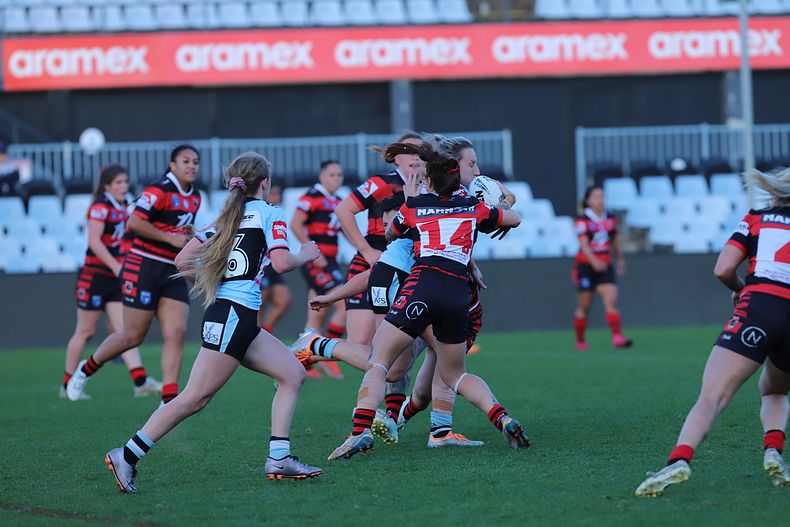 HNWP Rnd 8 SHARKS v BEARS