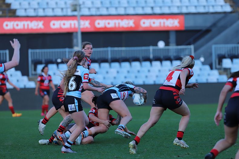 HNWP Rnd 8 SHARKS v BEARS