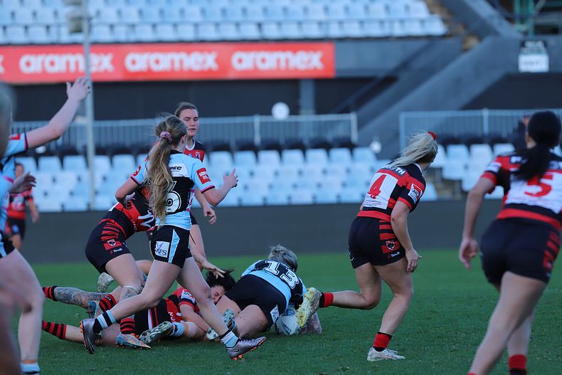 HNWP Rnd 8 SHARKS v BEARS